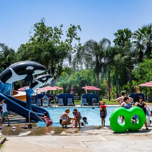 CASA_Splash-Day-2023_27