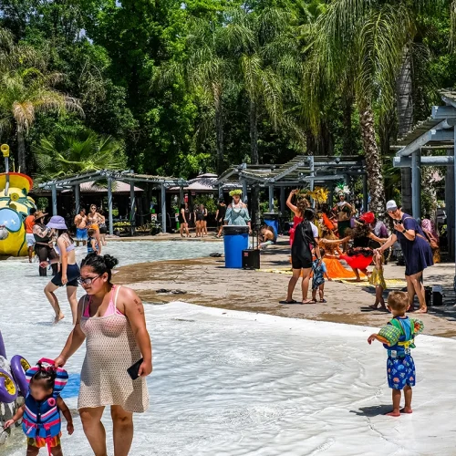 CASA_Splash-Day-2023_31